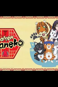 Рамэнная рыжего кота (аниме 2024)