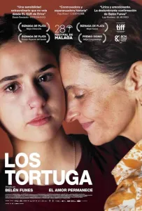 Черепаха (фильм 2024)